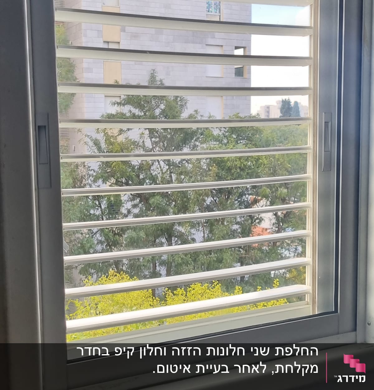 תריסים לבנים פתוחים בחלון עם נוף חיצוני